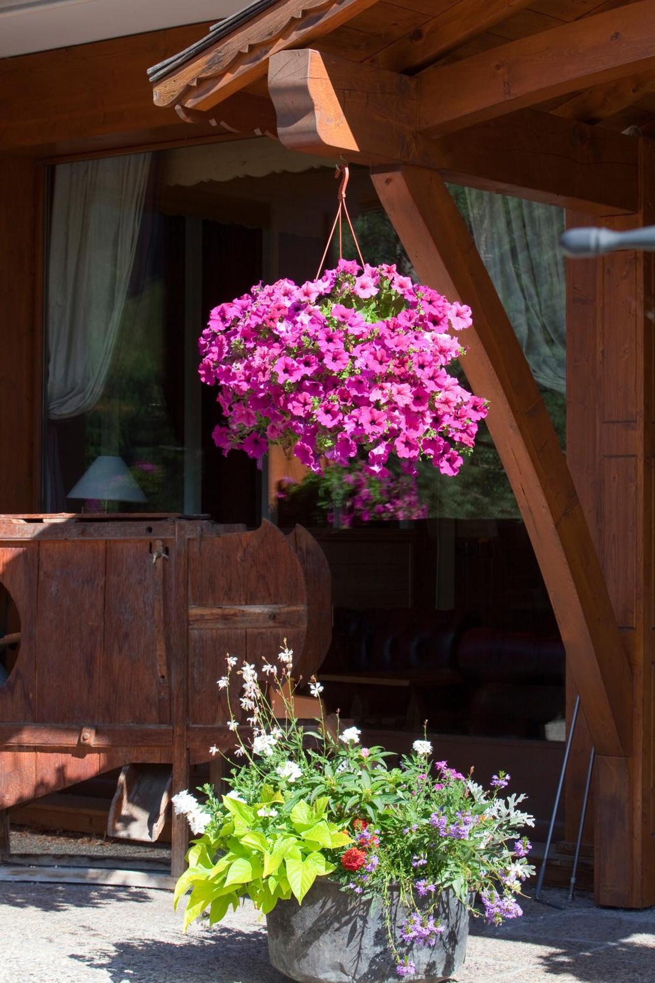 Hotel Carlina Clusaz Zewnętrze zdjęcie